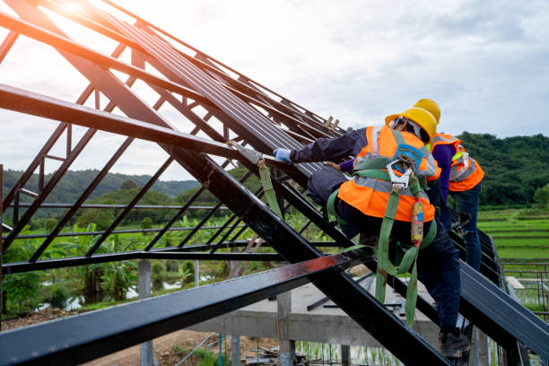 Best Roofing Contractor Near Me  in Plafield, IN