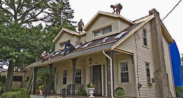 Best Residential Roofing Contractor  in Plafield, IN