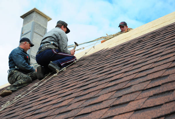 Best Commercial Roofing Services  in Plafield, IN