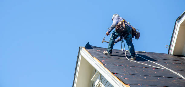 Best New Roof Installation  in Plafield, IN
